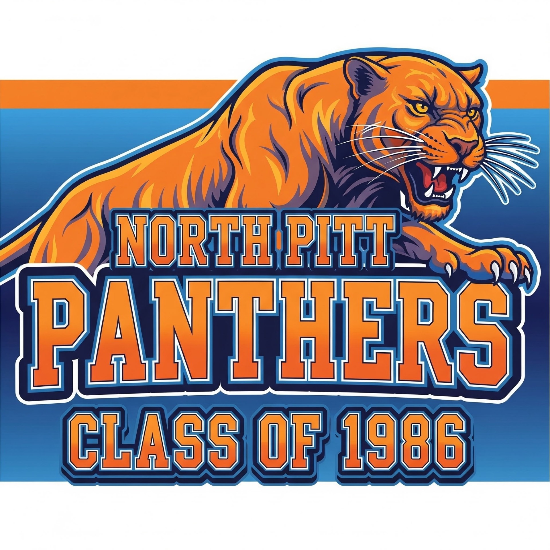 North Pitt Panthers Class of 1986 banner